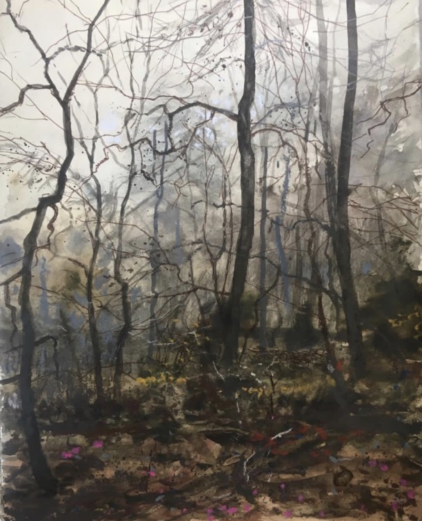 H Craig HANNA Pink flowers and Trees at spring 2019 