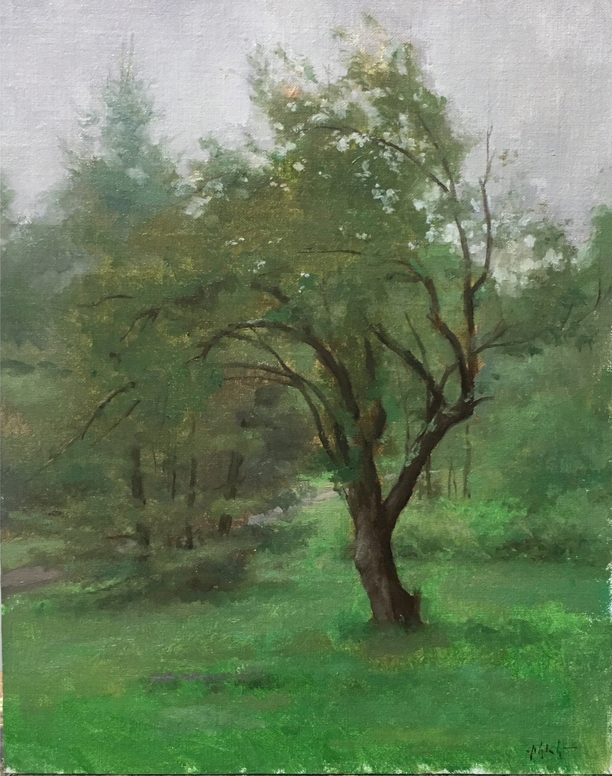 Travis Schlaht Overcast Tree 2017 