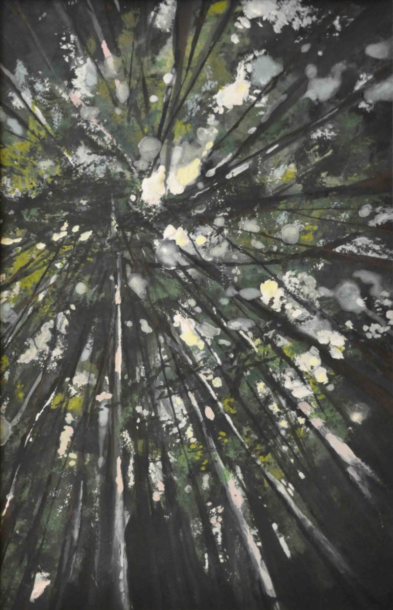 Alex Lutz Cimes des arbres 2020 