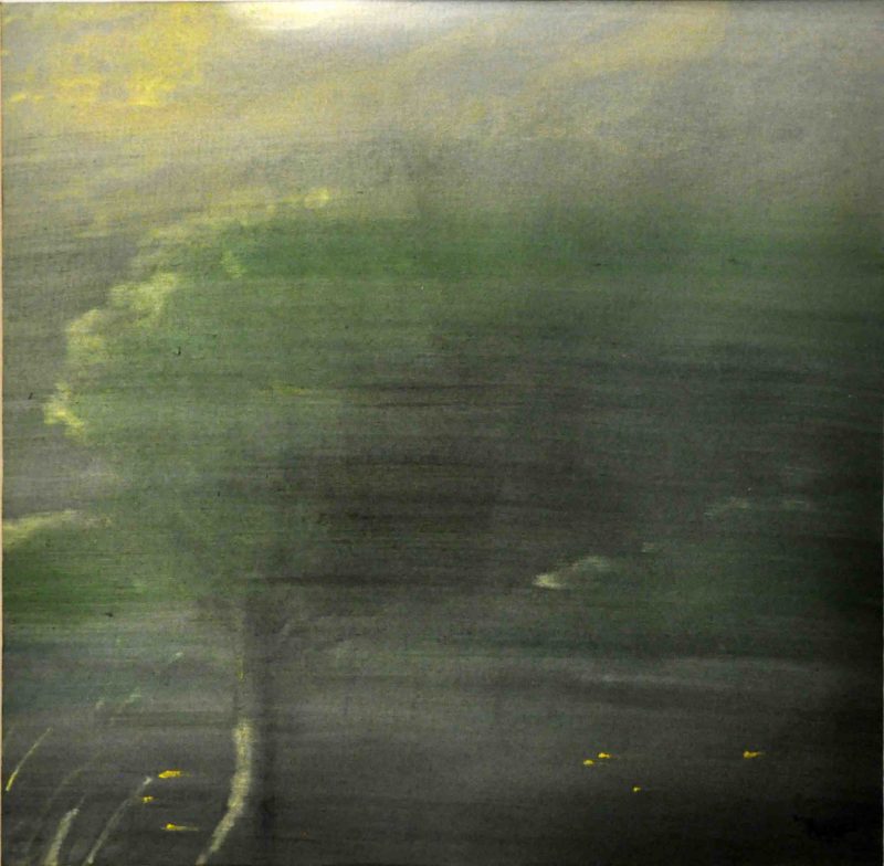 Alex Lutz Vitesse 2020 