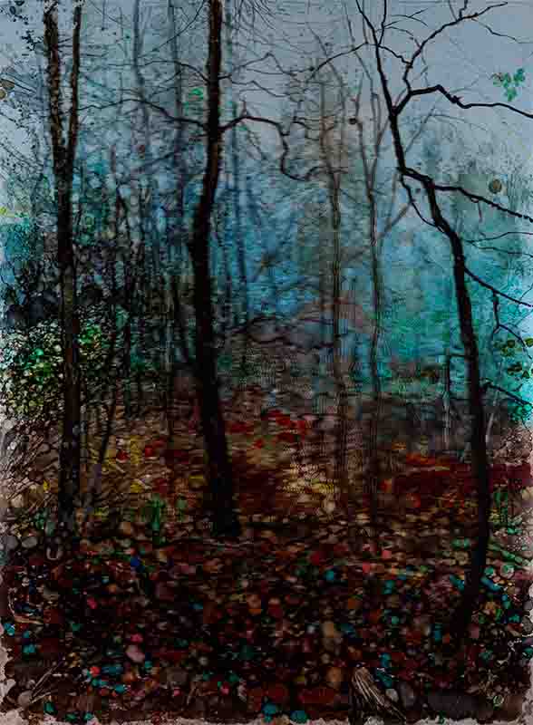 H Craig HANNA Red leaves 2020 