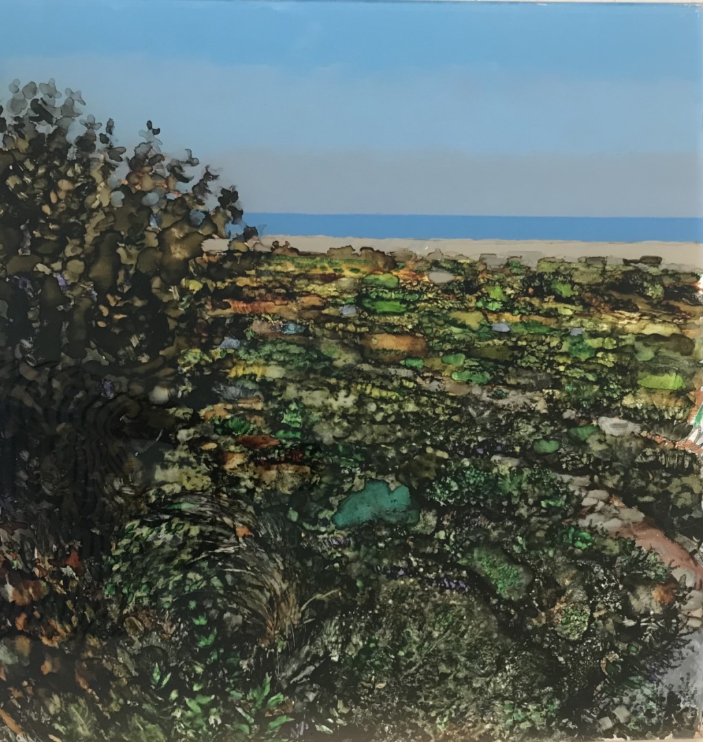 H Craig HANNA Ciel mer vegetation Abu Dhabi 2025 