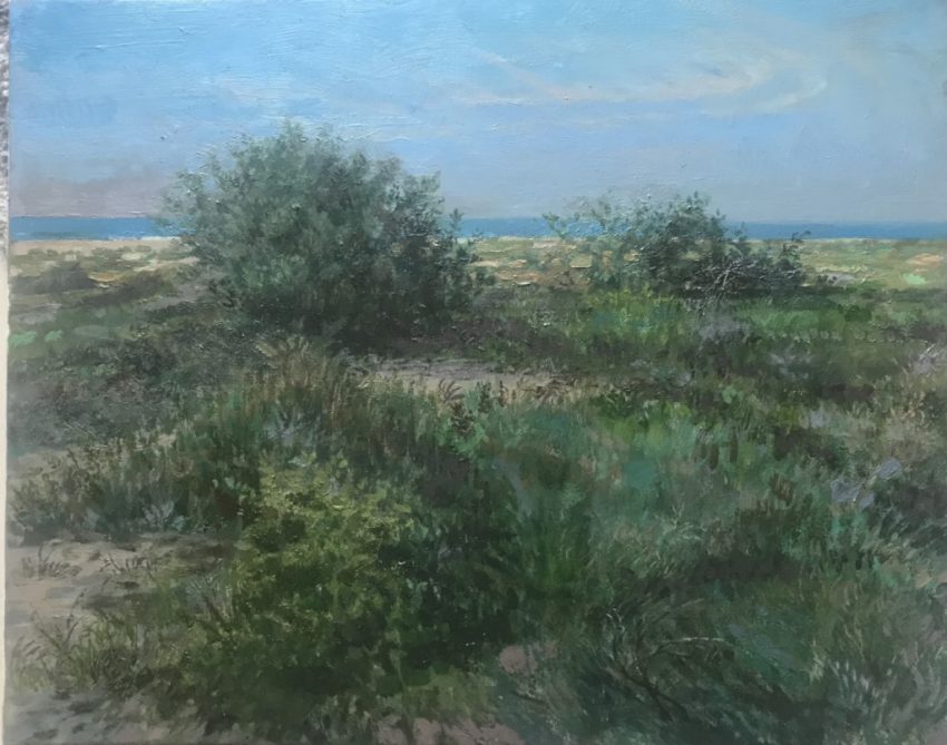 H Craig HANNA Scrubs Sea and Sky 2022 