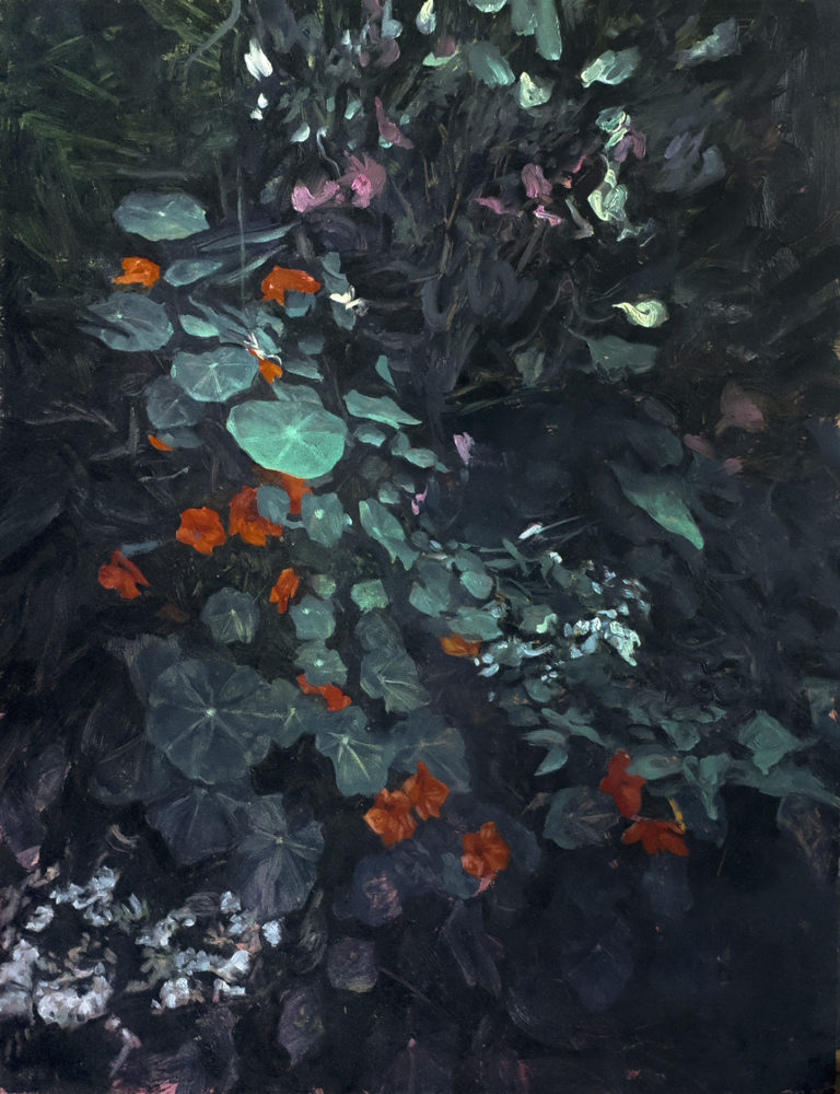 Hélène Delmaire capucines 2023 