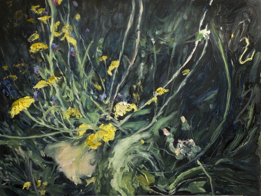 Hélène Delmaire night dances 2023 